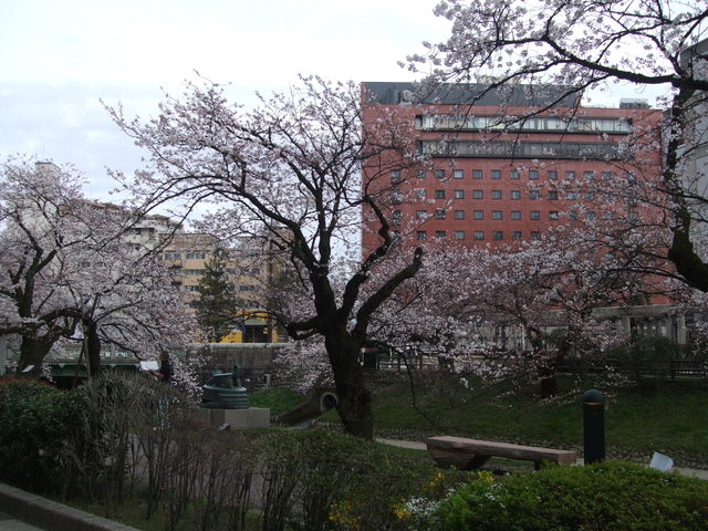 200296_01.jpg