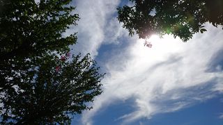 100401_05.jpg 100401_05.jpg